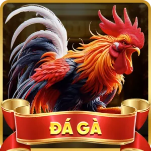 Bài Viết Hướng Dẫn