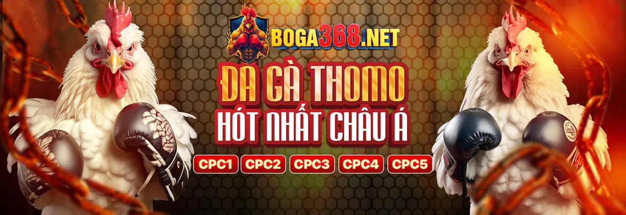 Đá gà trực tuyến AW8 Bet 2026