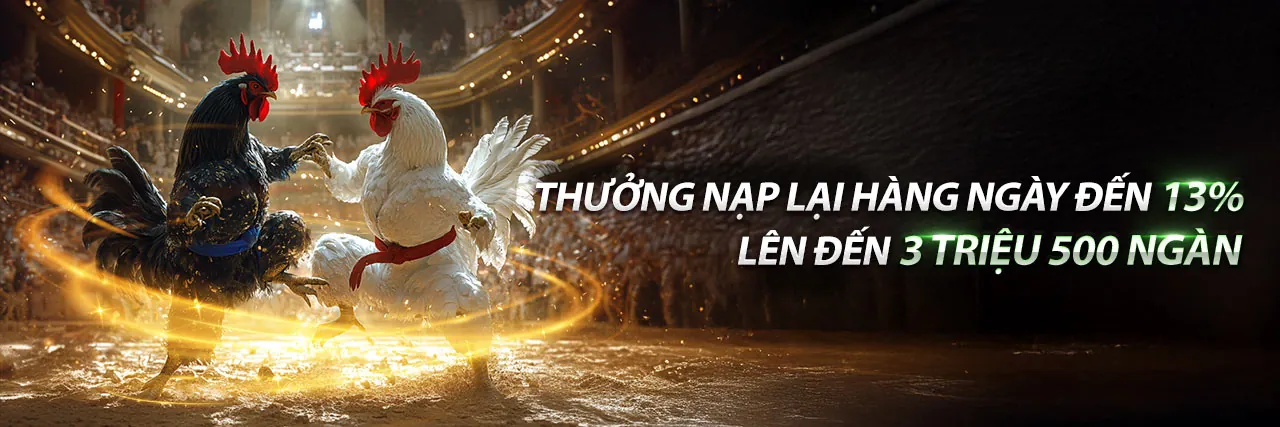 Sân chơi đá gà trực tuyến AW8 Bet